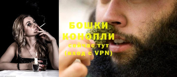 эйфоретик Бородино