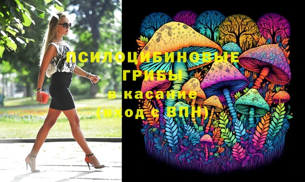 эйфоретик Бородино
