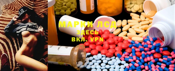 эйфоретик Бородино